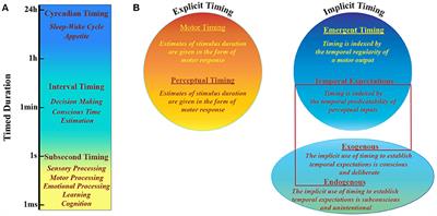 Metastable States of Multiscale Brain Networks Are Keys to Crack the Timing Problem